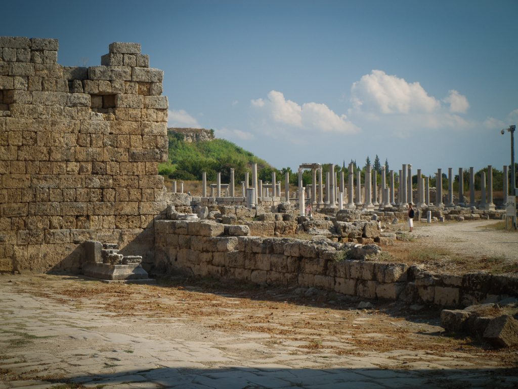 Olympus Digital Camera