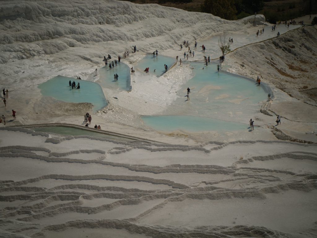 Olympus Digital Camera