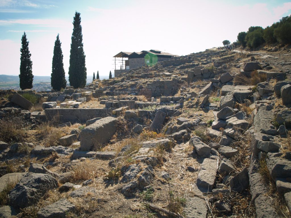 Olympus Digital Camera